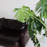 0-02-05-a22f5a4dc148963d9a1a7bcb42fc101fb2e19aad22f99b9d36263893a84ed46b_f3fb1bbb 0-02-05-a22f5a4dc148963d9a1a7bcb42fc101fb2e19aad22f99b9d36263893a84ed46b_f3fb1bbb