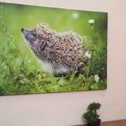 0-02-05-5e58812a857440122b727a948e61827b7d314540141fba2fca67bdeafc51bb61_8d0d9db9