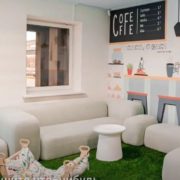 photo_3_2026-01-13_10-54-26